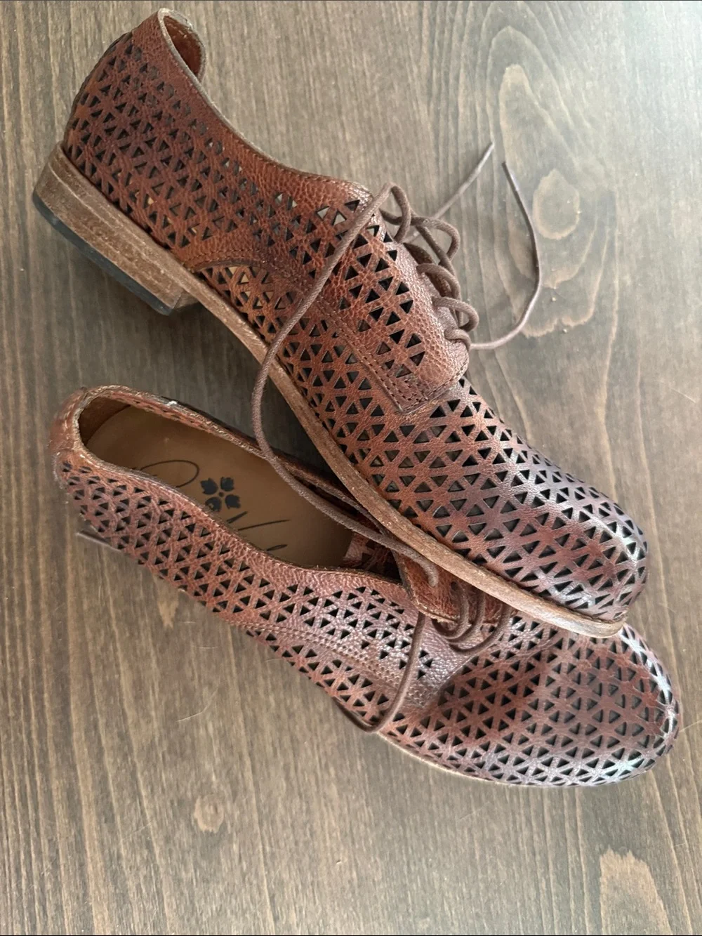 Patricia Nash Brown Laser-Cut Lace-Up Flats